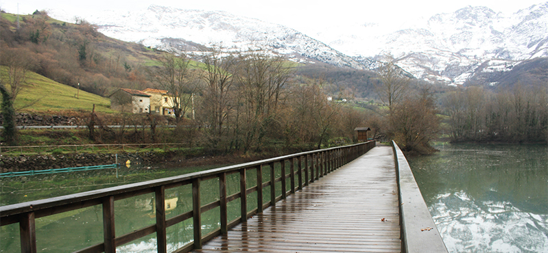 Camino Natural de la cordillera Cantábrica. Asturias Interior. Etapa 15: Bárzana - Villanueva