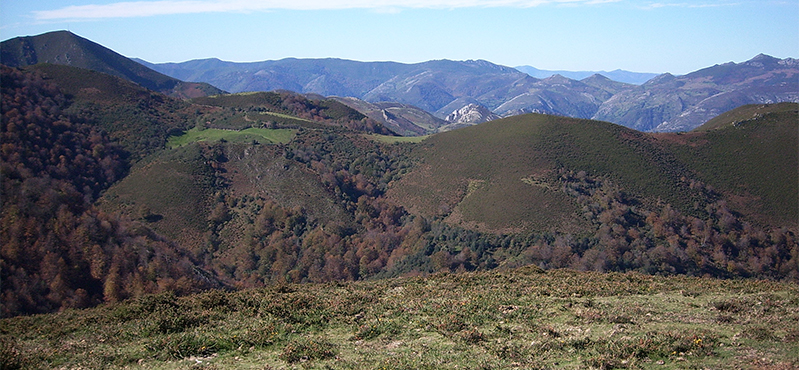 Camino Natural de la cordillera Cantábrica. Asturias Interior. Etapa 17: Villamayor - Dolia