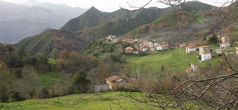 Camino Natural de la cordillera Cantábrica. Asturias Interior. Etapa 2: Alles - Carreña