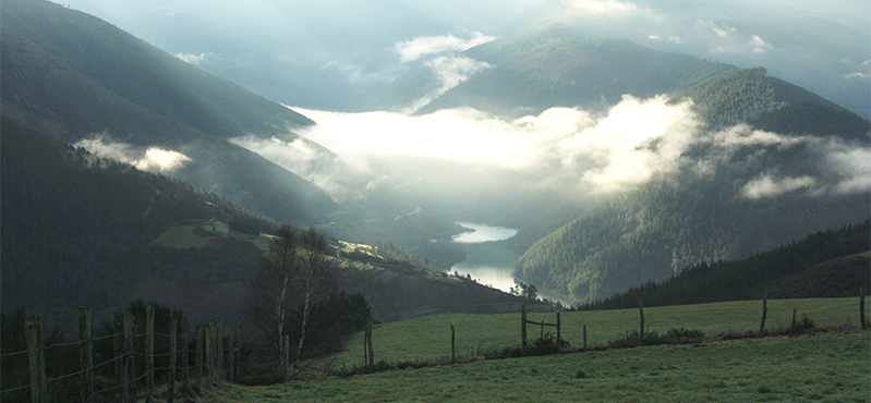 Camino Natural de la cordillera Cantábrica. Asturias Interior. Etapa 26: Grandas - Castro