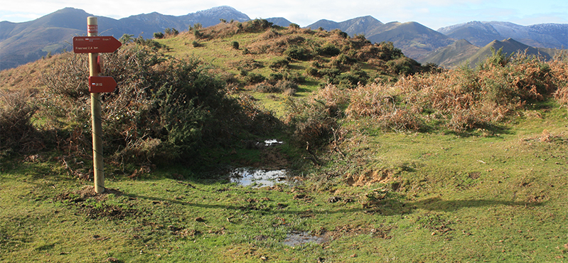 Camino Natural de la cordillera Cantábrica. Asturias Interior. Etapa 7: Espinaredo - Fresnedal