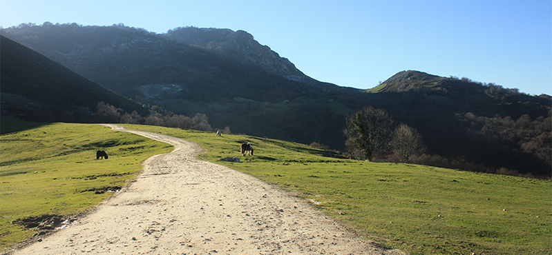 Camino Natural de la cordillera Cantábrica. Asturias Interior. Etapa 8: Fresnedal - Los Melendreros