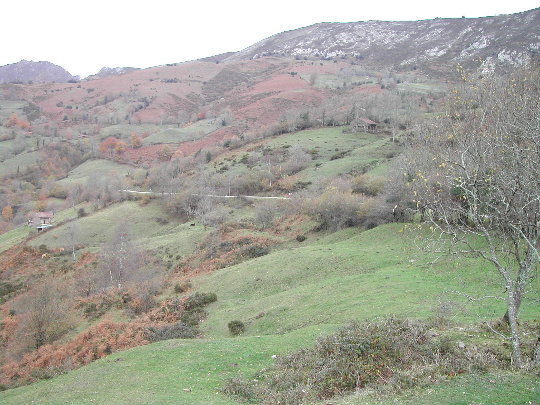 Camín Real del Sellón