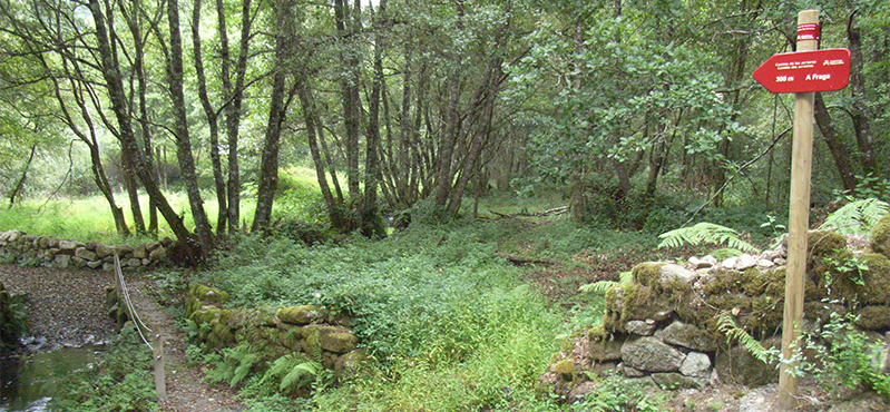 Camino Natural dos Arrieiros