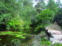 El sendero a orillas del río Duero