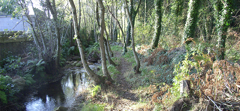 Camino Natural de las rutas ecológicas del río Catoira