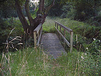 Uno de los puentes de madera que encontramos sobre el camino