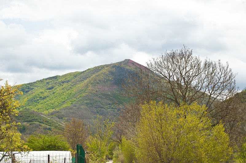 Alto del Cuguchón