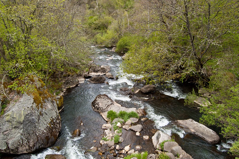 Río Sil
