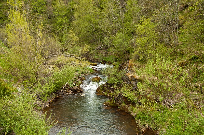 Río Sil