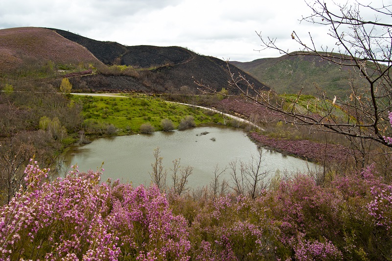 Laguna del Castro