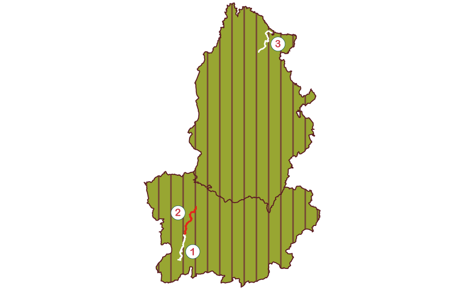 Croquis Agrupación San Rosendo