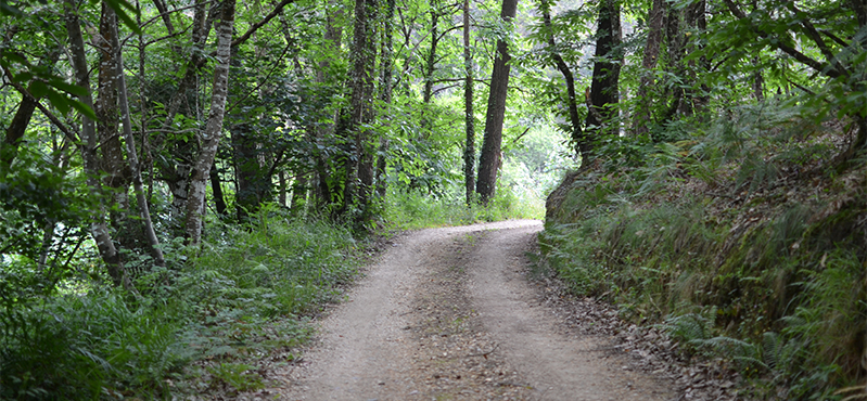 Camino Natural del Interior. San Rosendo. Tramo Mondoñedo a Foz