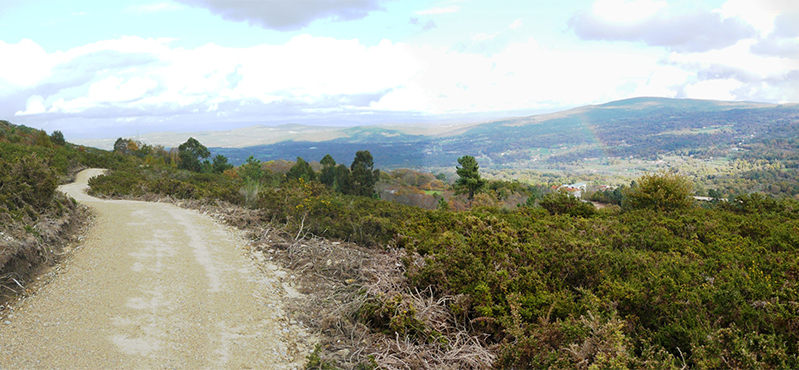 Camino Natural del Interior. San Rosendo. Tramo Porto Quintela a Celanova
