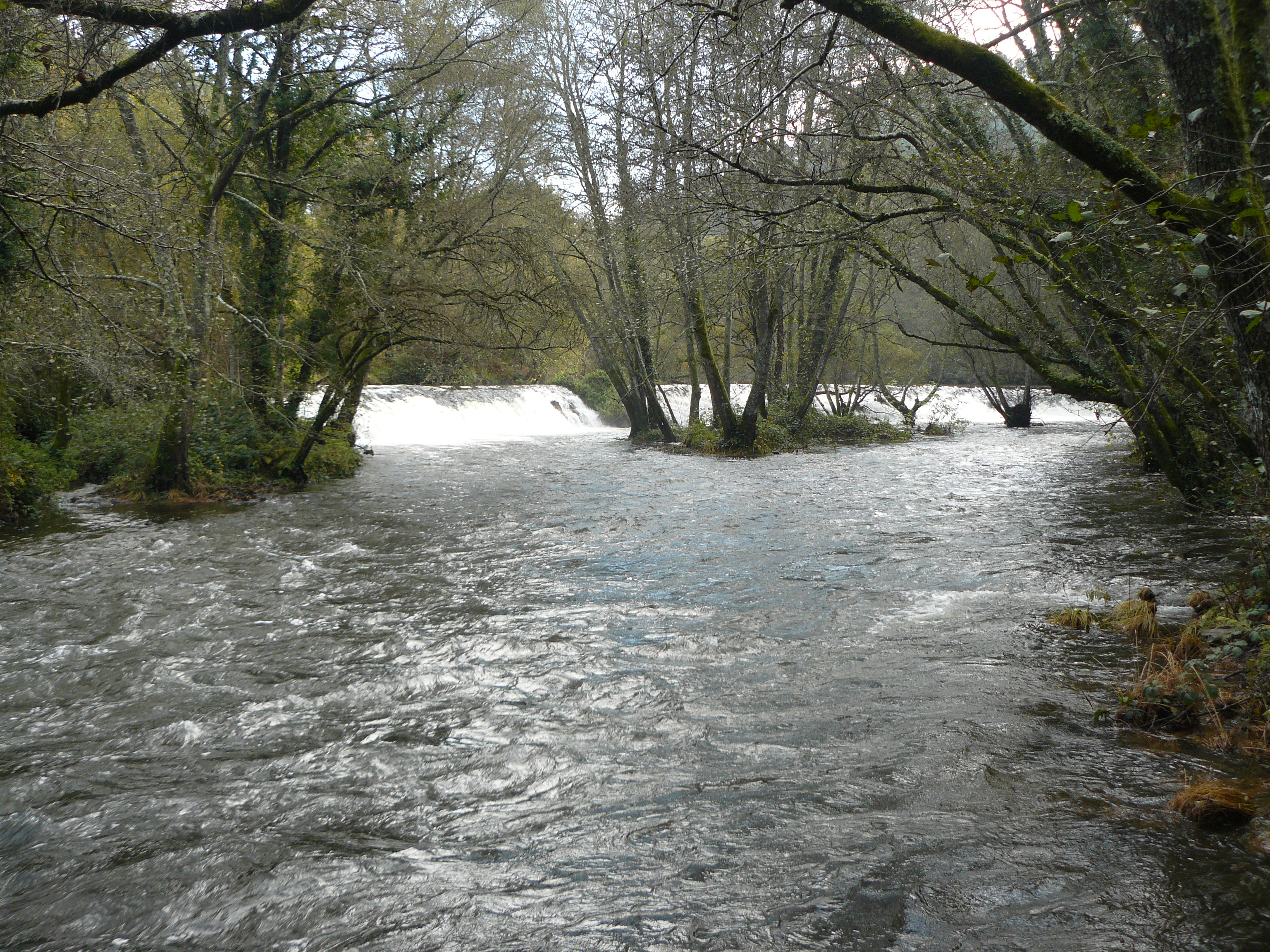 Río Arnoia