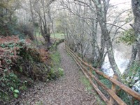 Camino junto al río Arnoia