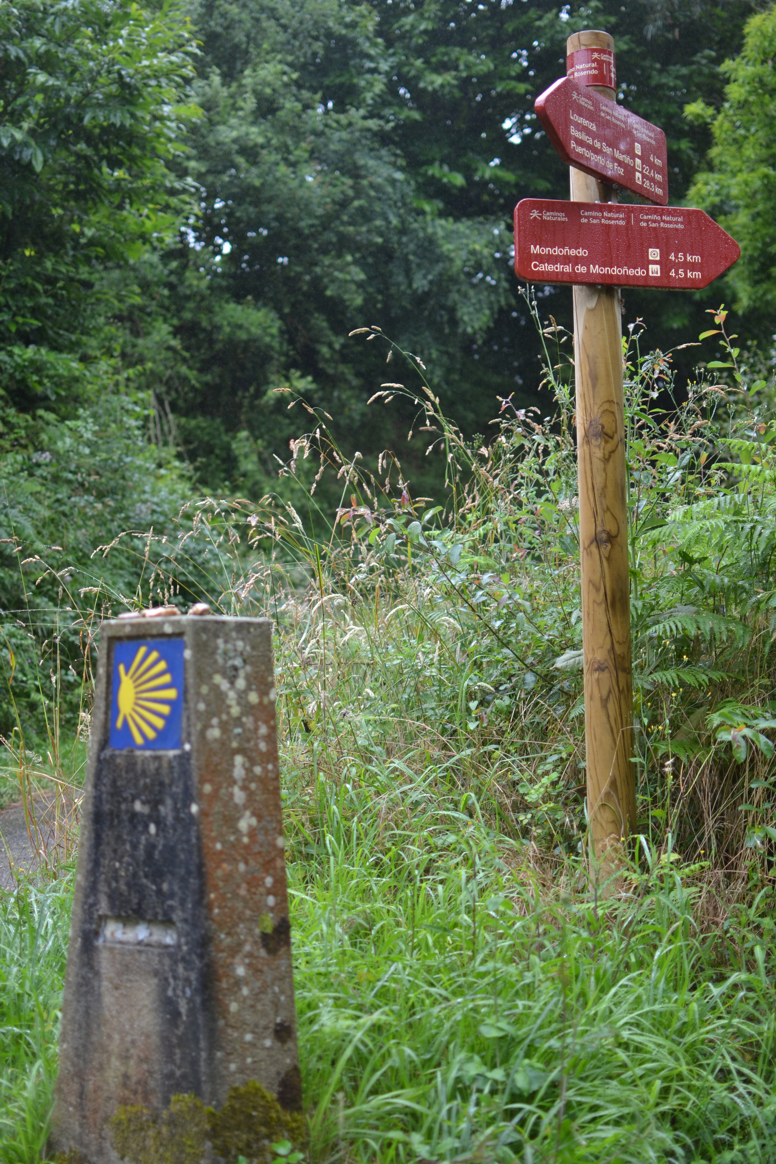 Camino de Santiago del Norte