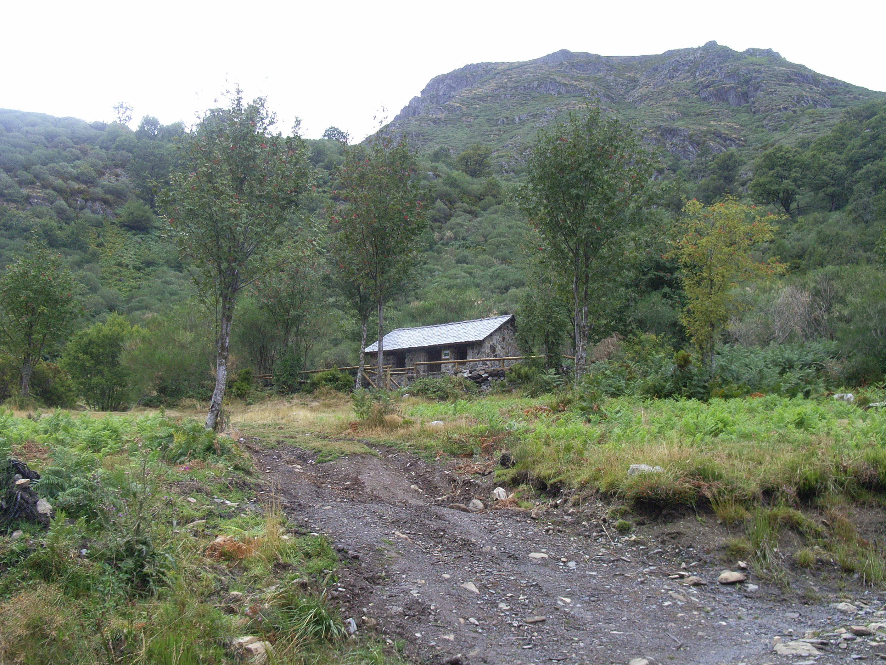 Medicinal springs of Tejeira