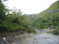 Senda entre vegetación