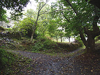 Cruce llegando a Pereda de Ancares