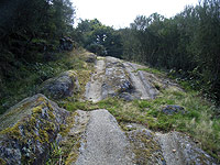 Rodadas en el Camino Real