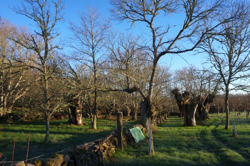 Castañares de Fondodevila
