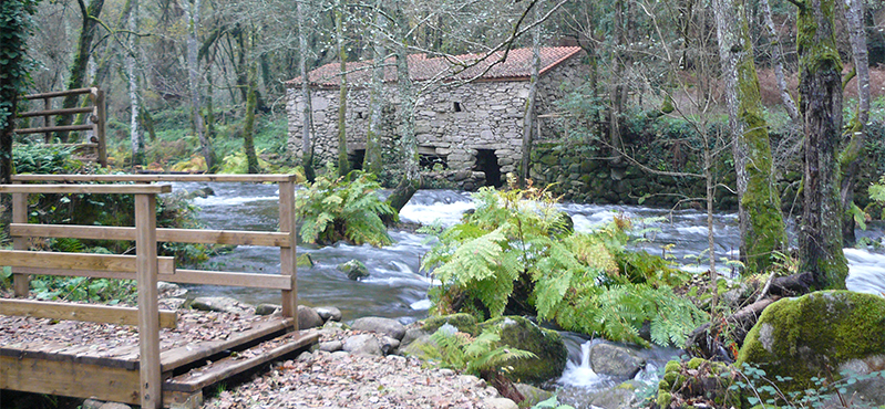 Camino Natural del río Barbantiño