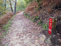 El camino discurre entre robles y rebollos acompañados de ajo antosil