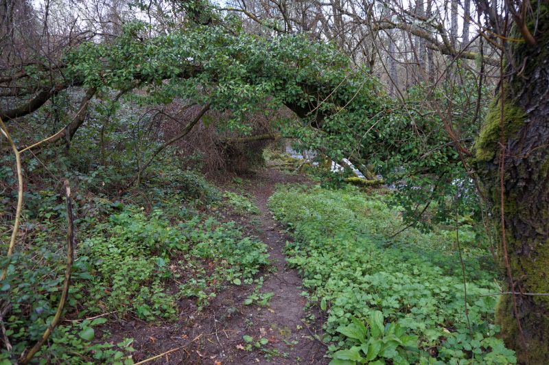 Ecosistema de ribera