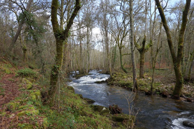 Ecosistema de ribera