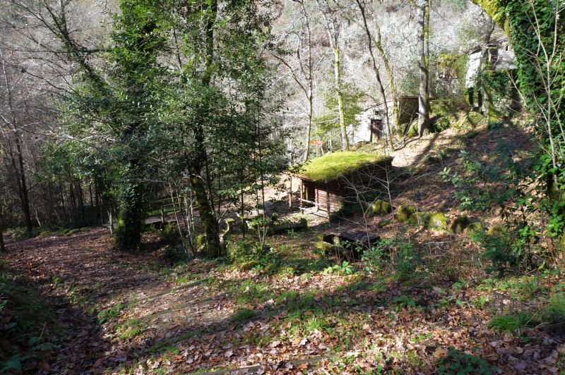 Fervenza do Barbantiño