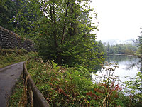 Castaños a orillas del Nalón