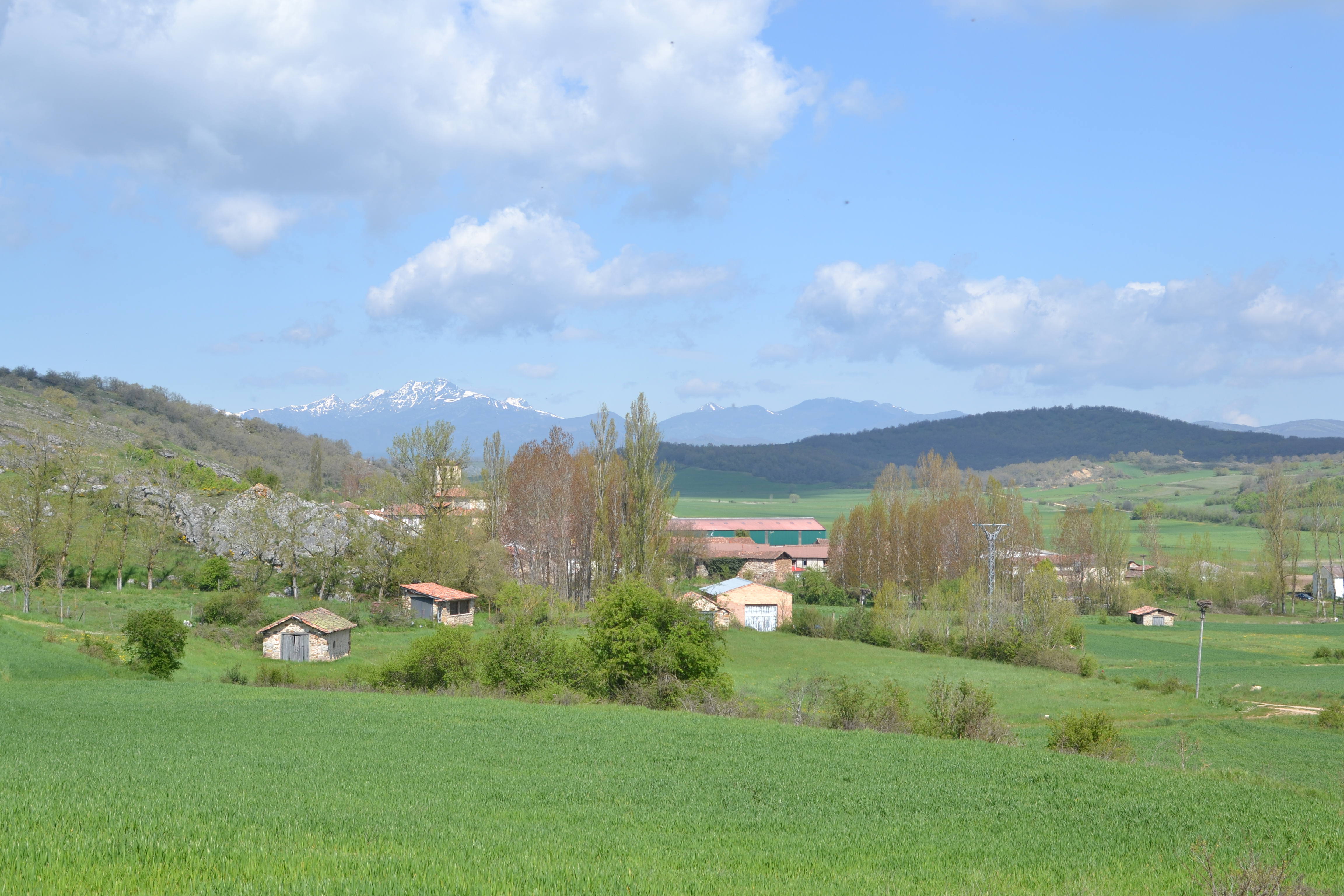 Barrio de Santa María