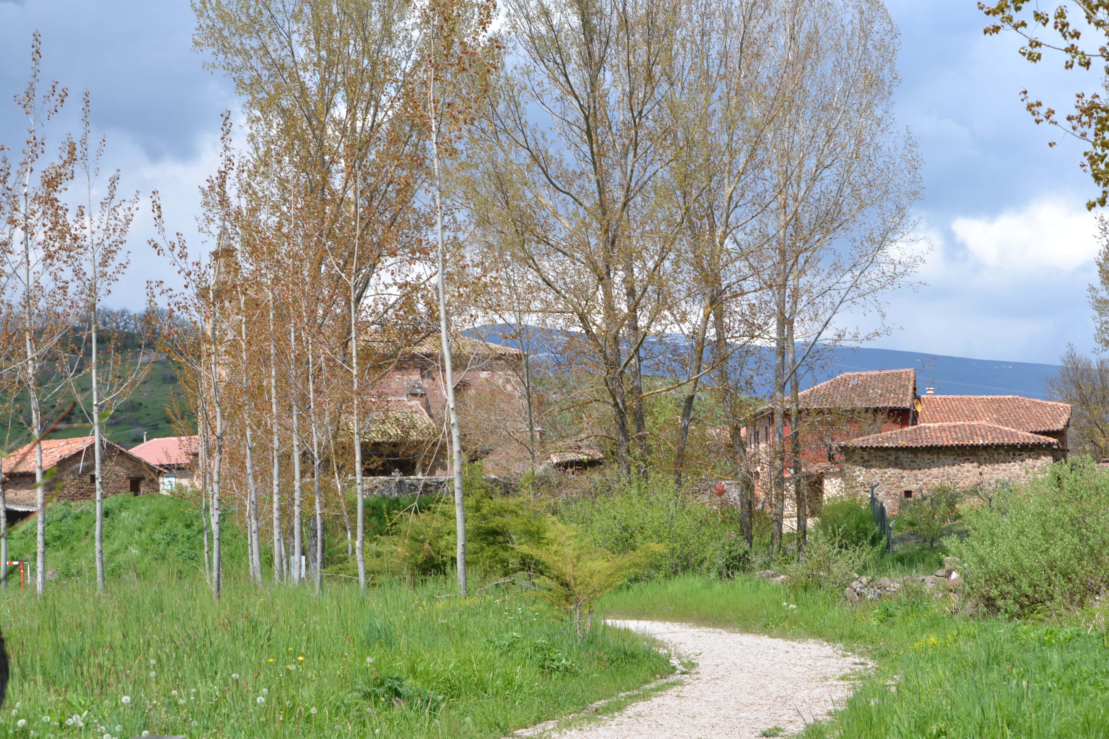 Rueda de Pisuerga