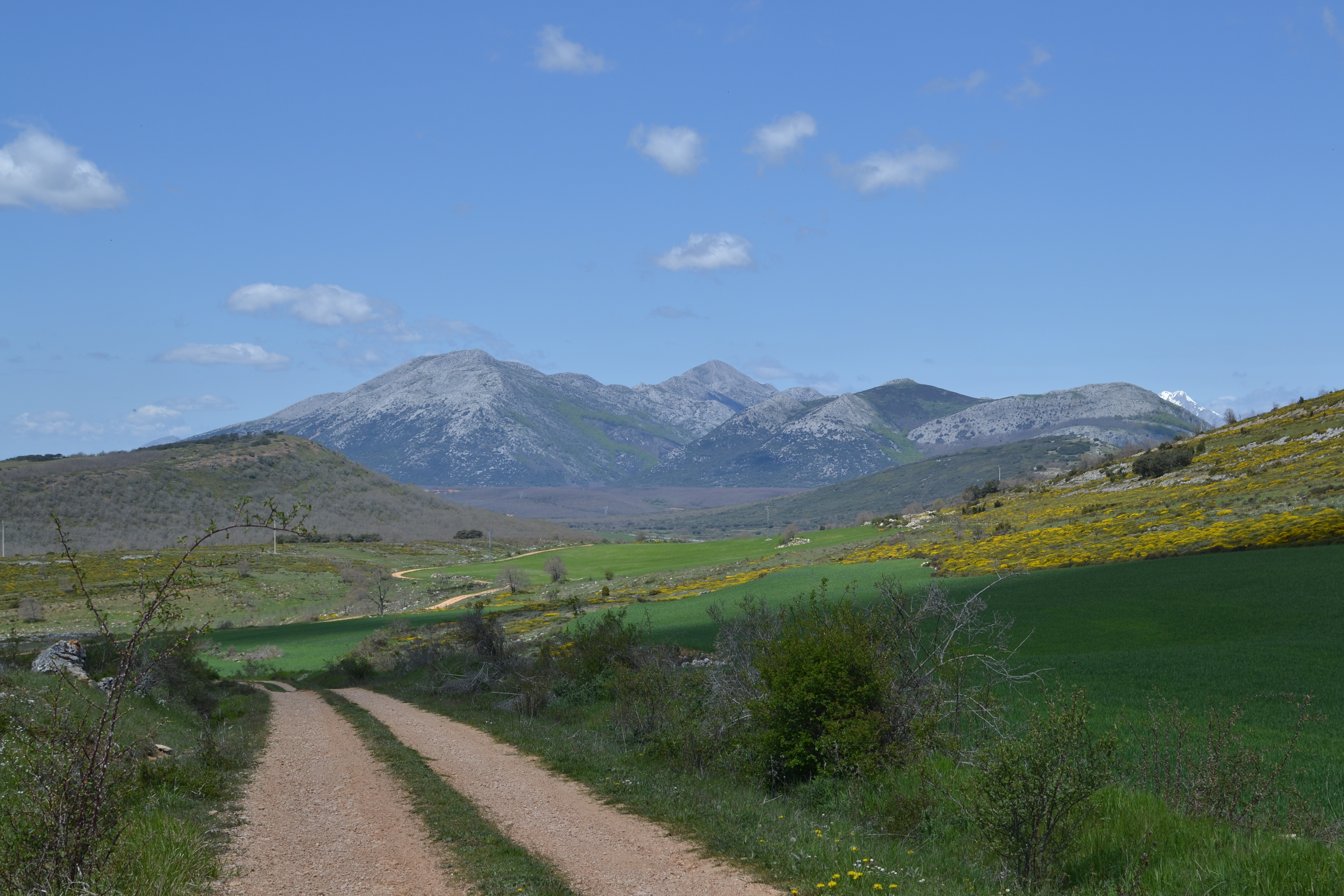 Palencia Mountain Natural Park