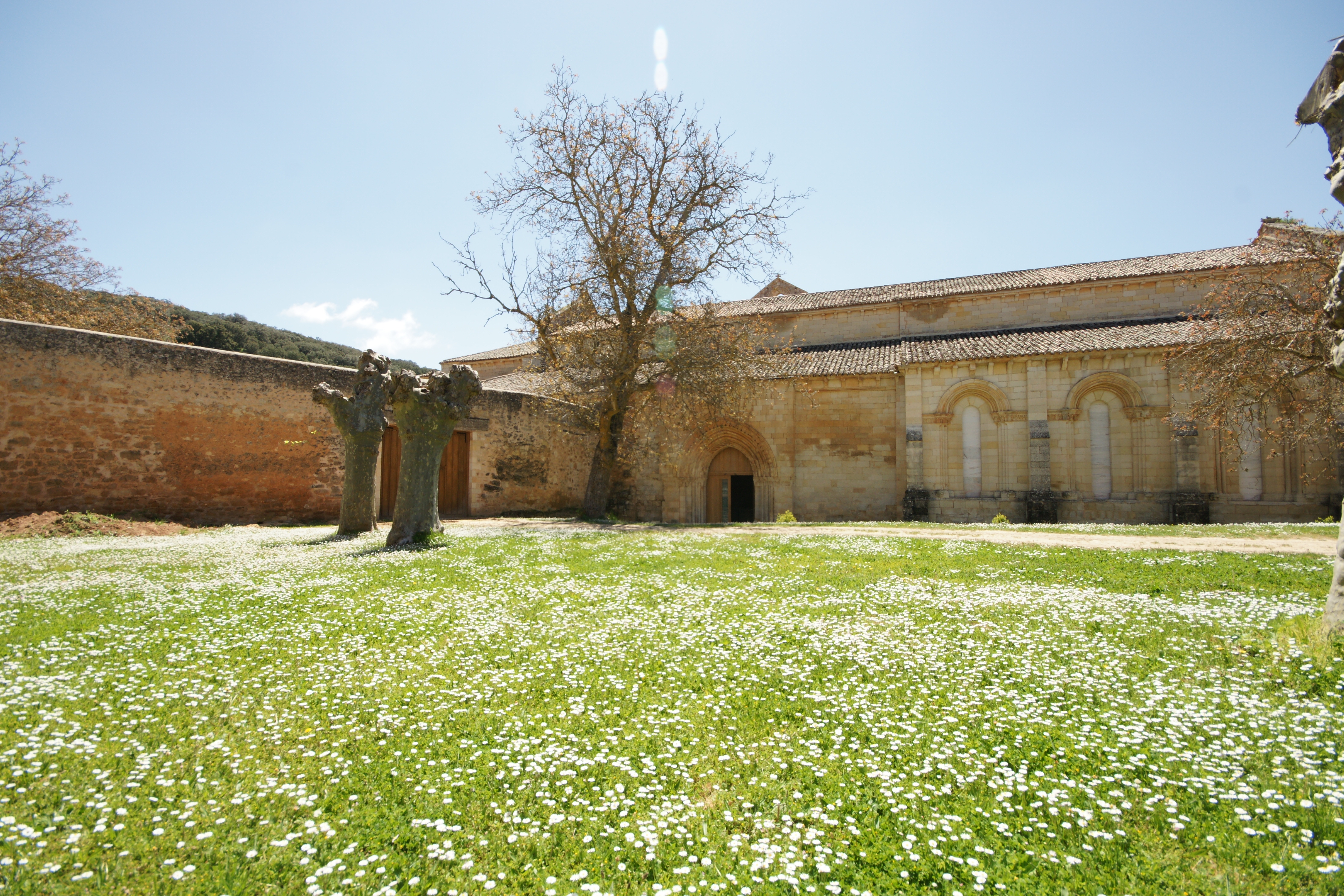 Royal Cistercian Abbey of Santa María and San Andrés de Arroyo