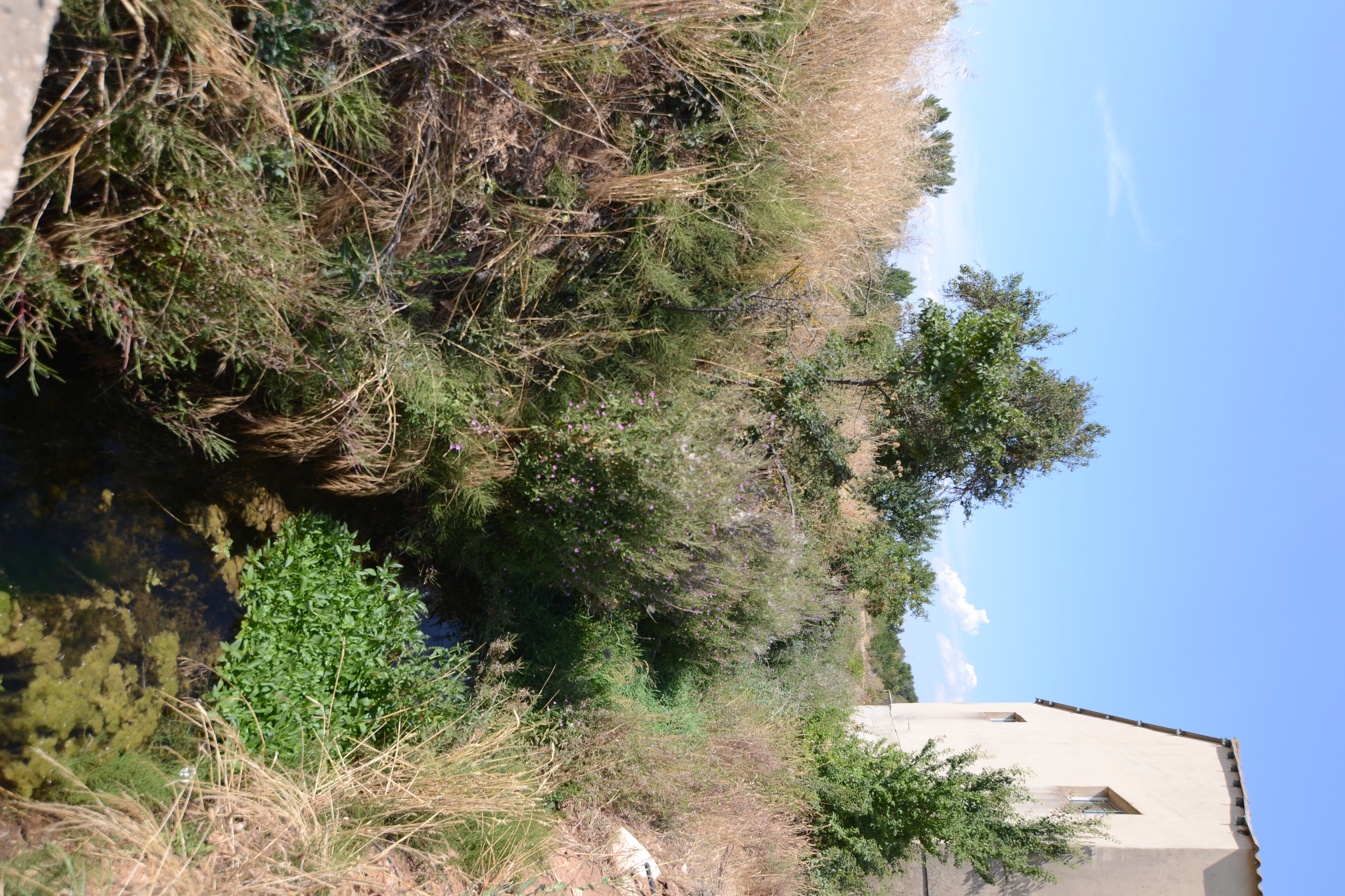 Burejo River 