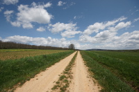 Camino hacia Dehesa de Montejo