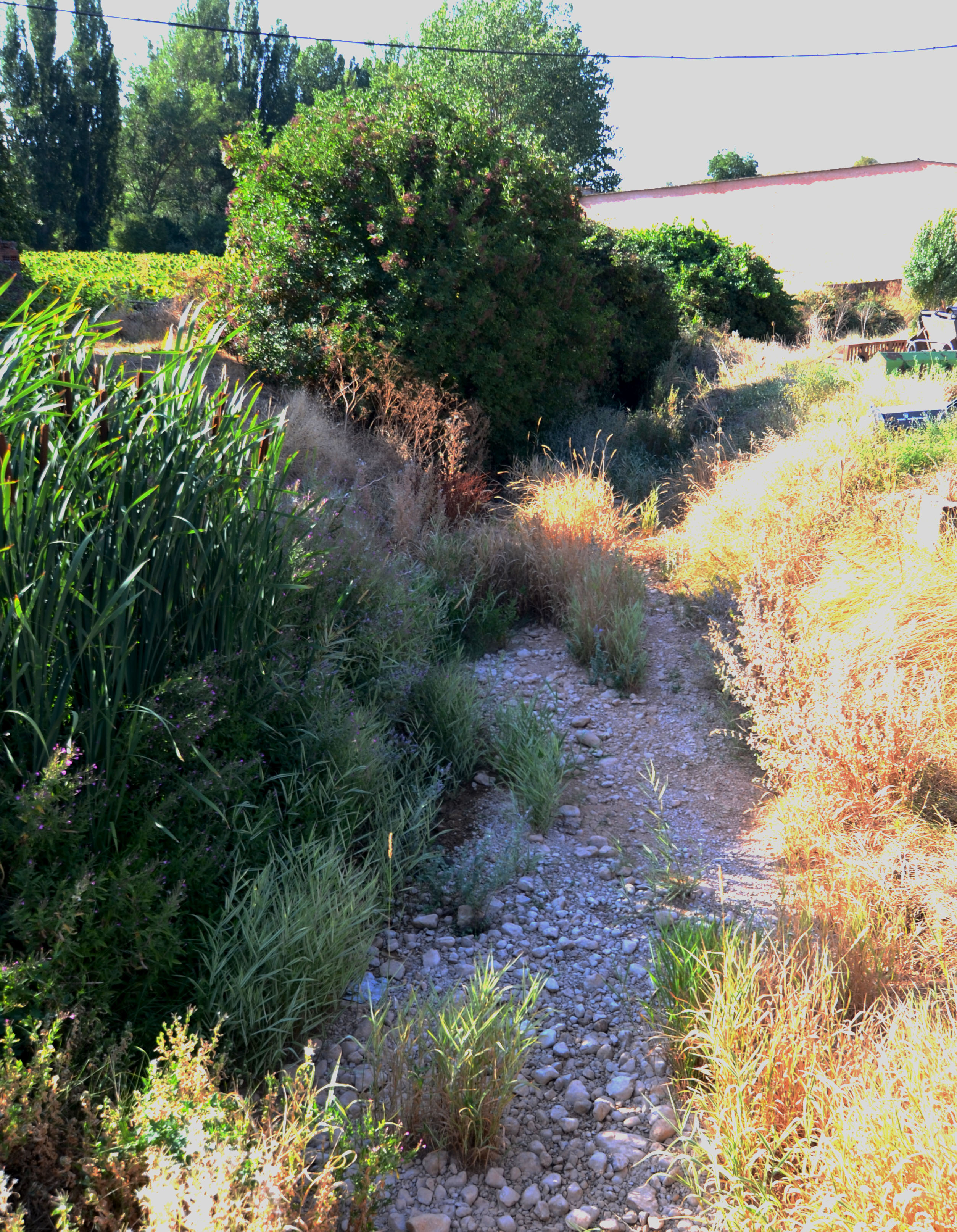 Montoro River