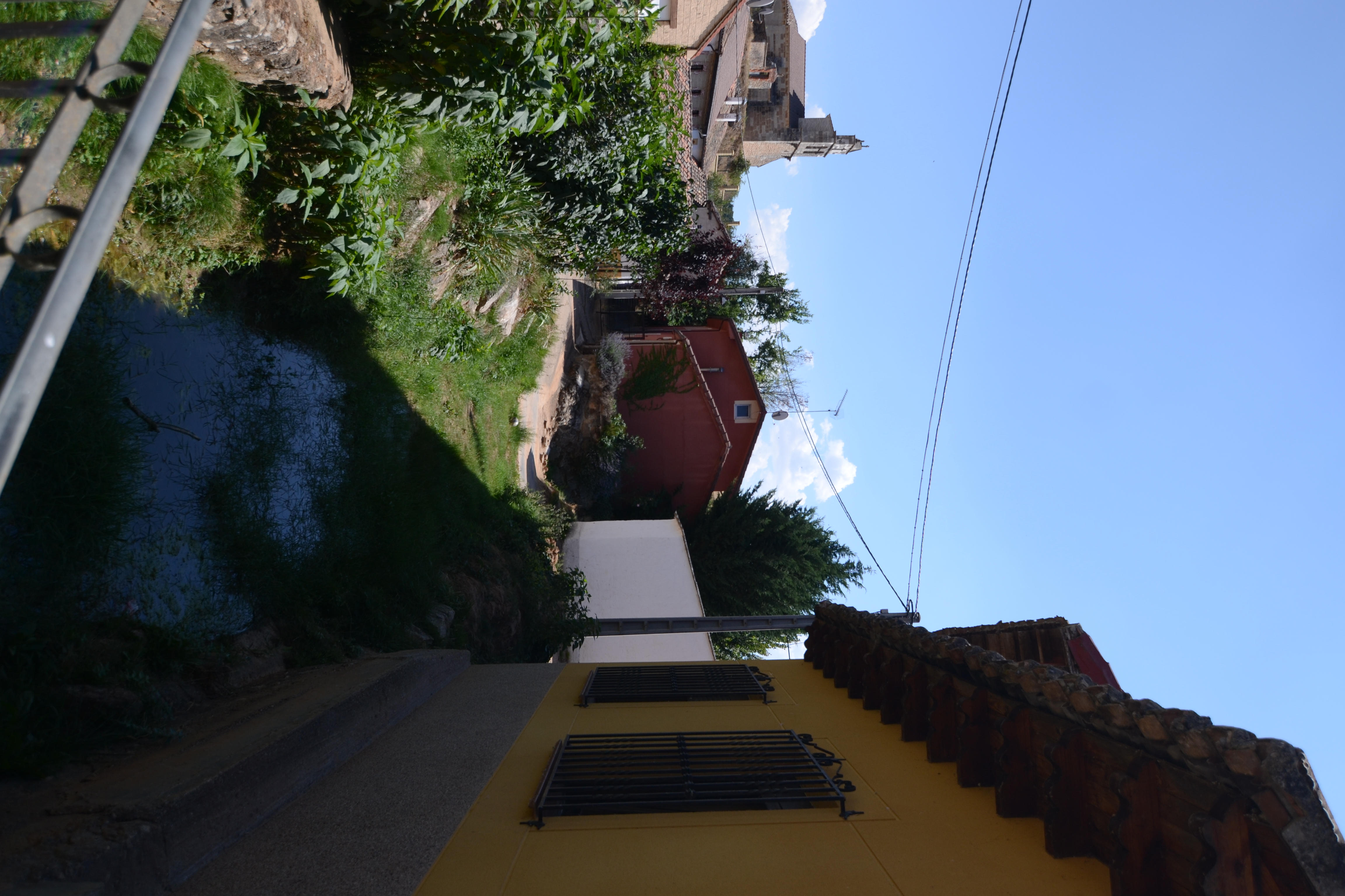 Pisón de Ojeda