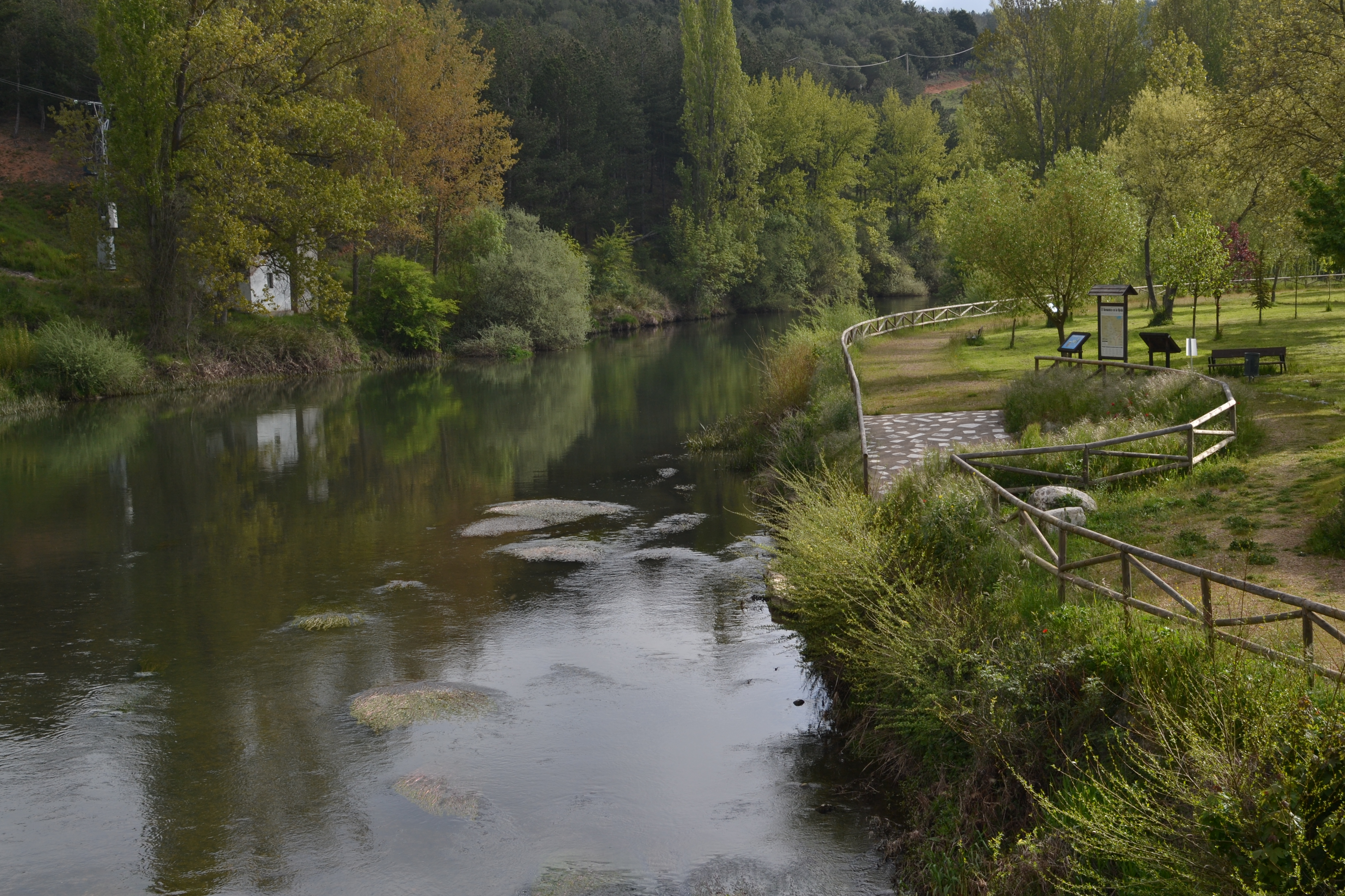 El Pisuerga a la salida de Alar del Rey