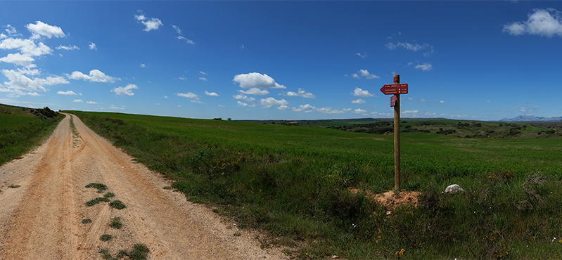Camino Natural del Románico Palentino. Alternativa 2: Perazancas de Ojeda - Dehesa de Montejo
