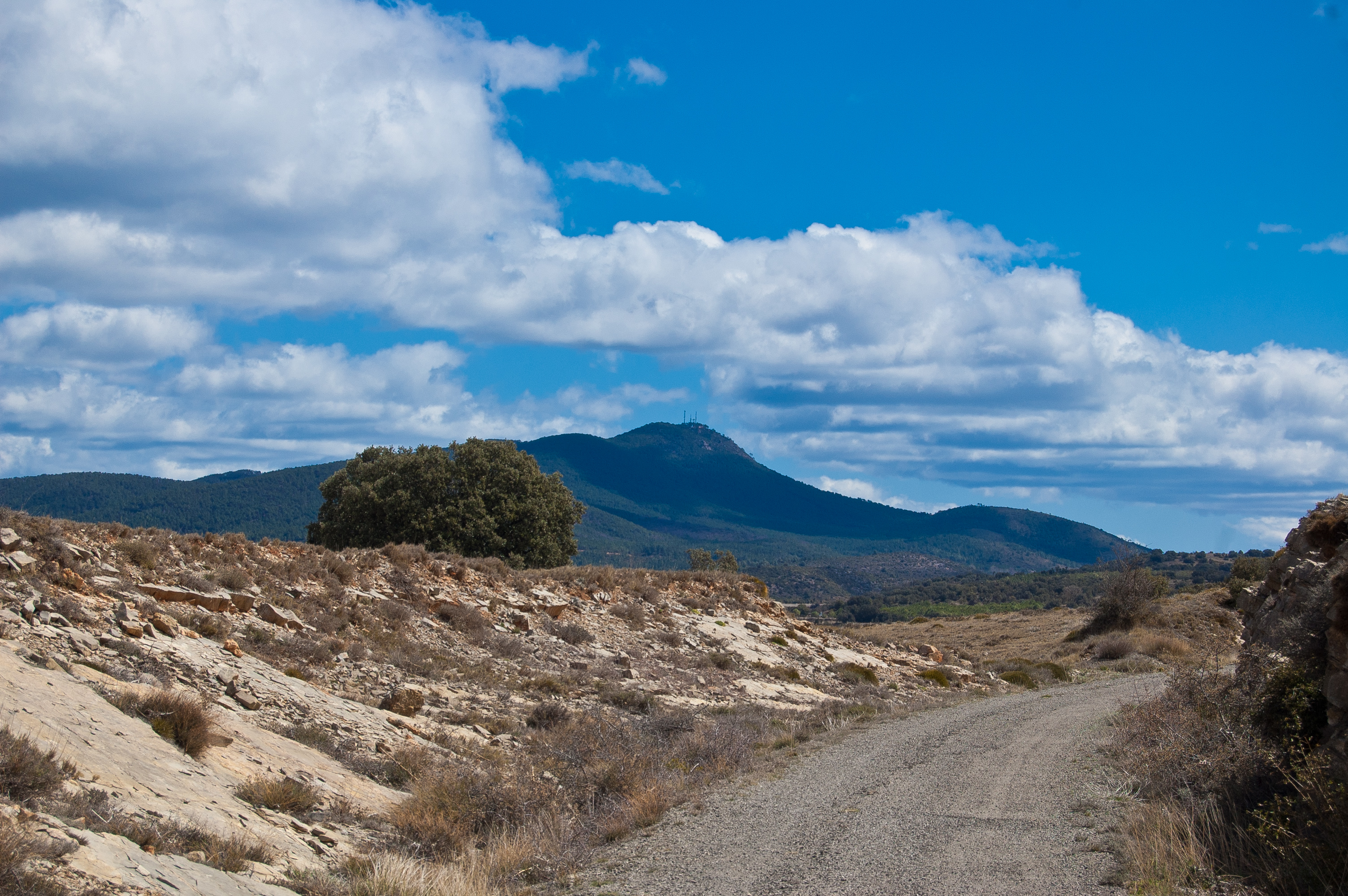 Camino Natural Santander - Mediterráneo. Etapa: Albentosa - Barracas