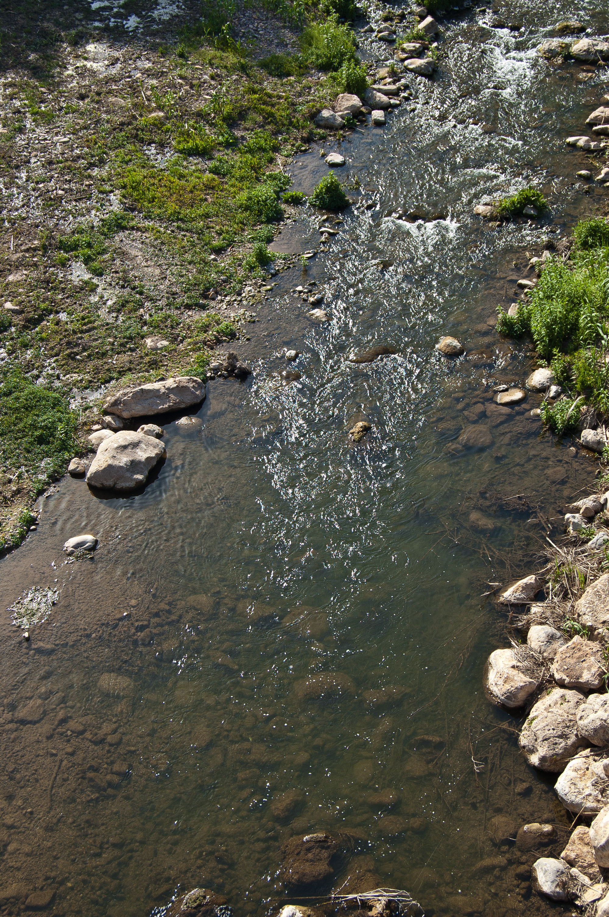 Río Palancia