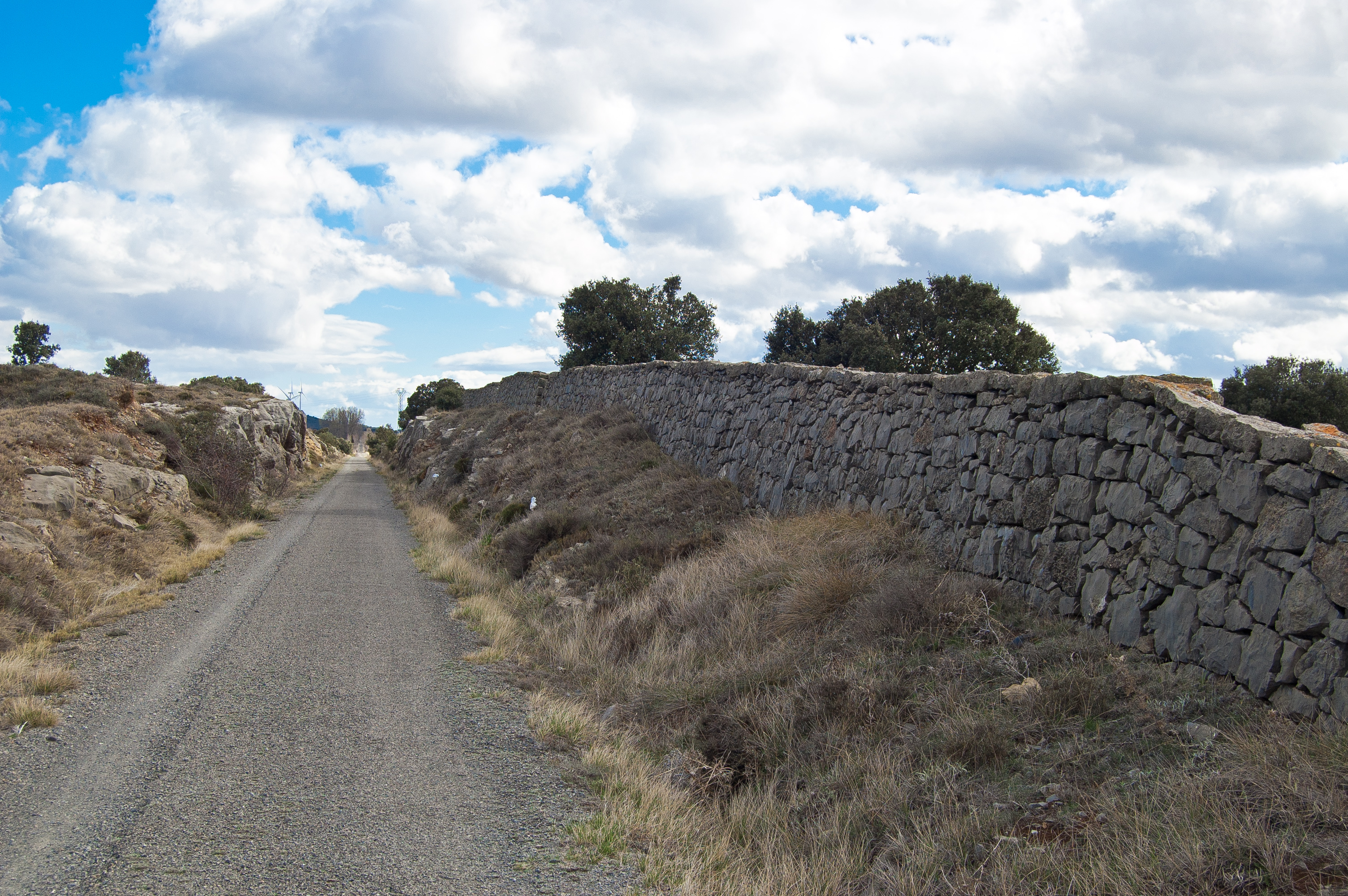 Muro Cortanieves