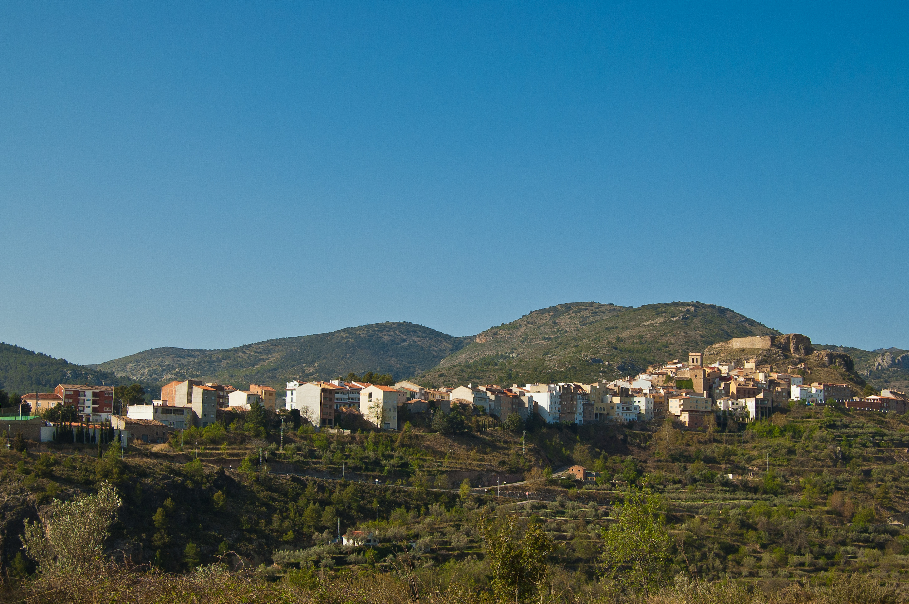 Bejís