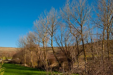 río Cardeñadijo río Cardeñadijo