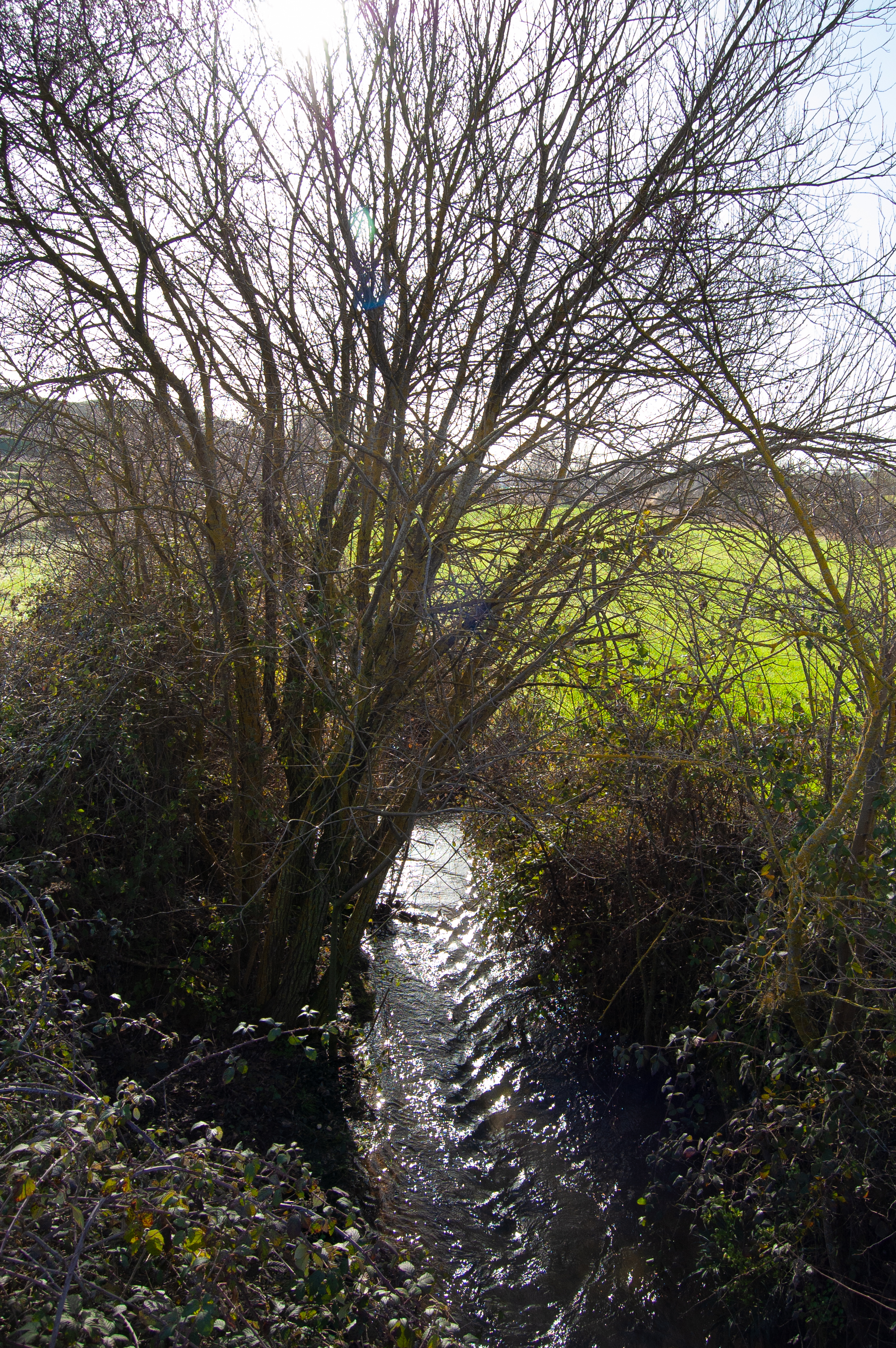 río Cardeñadijo