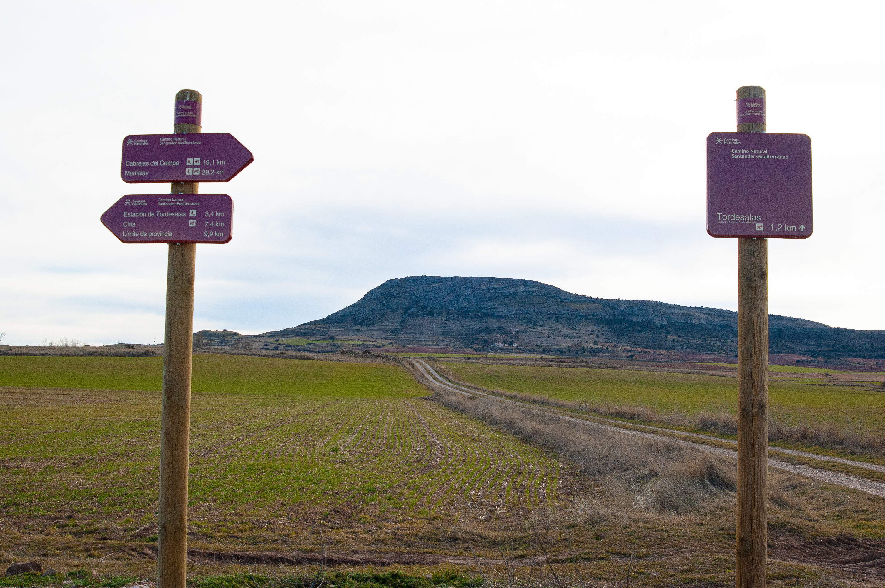 Camino Natural Santander - Mediterráneo. Etapa: Cabrejas del Campo - Ciria