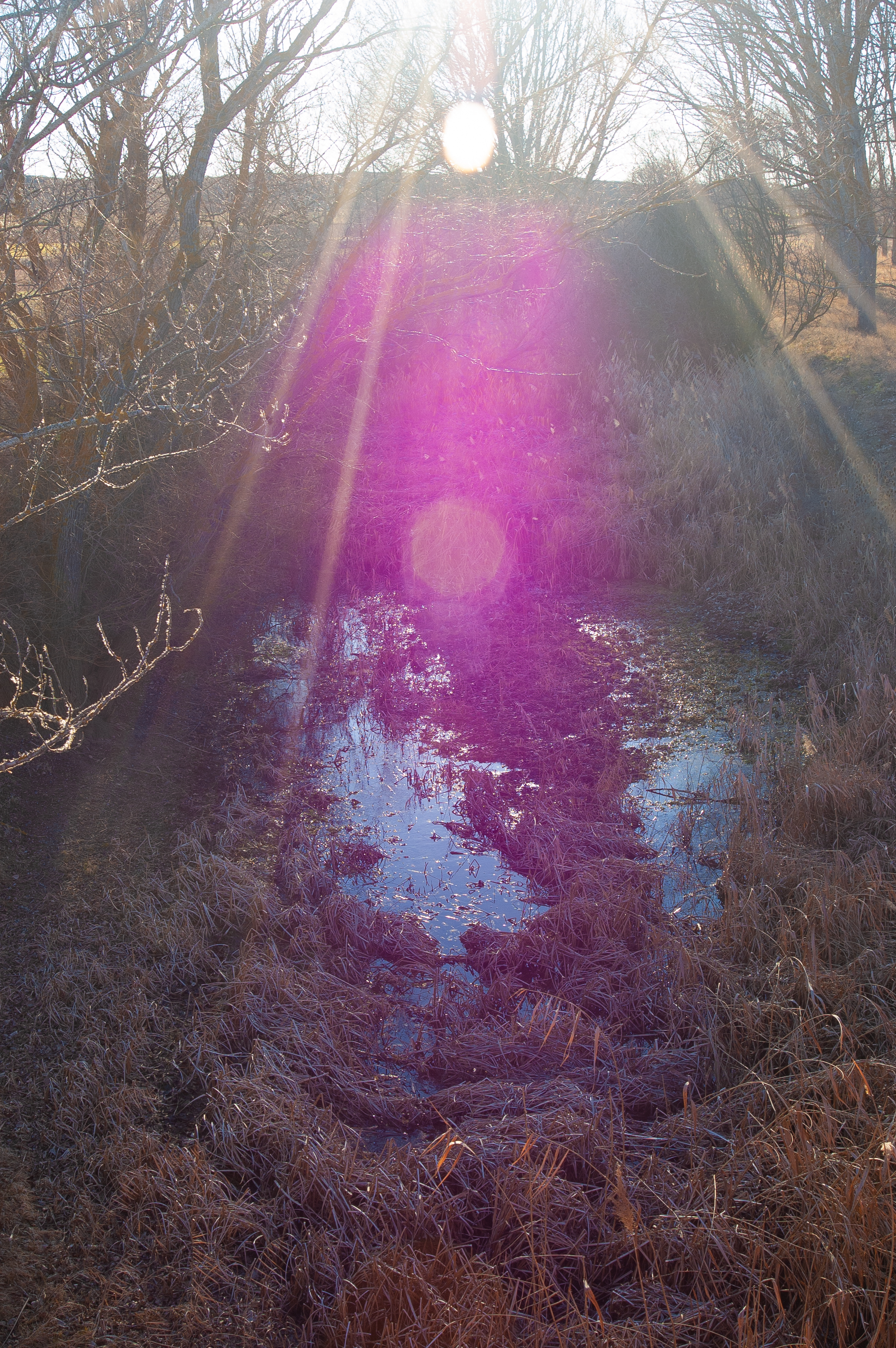 Río Rituerto